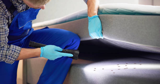 Best Termite Control Services  in Uniontown, AL