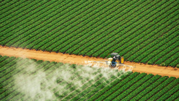 Best Mosquito Control Services  in Uniontown, AL