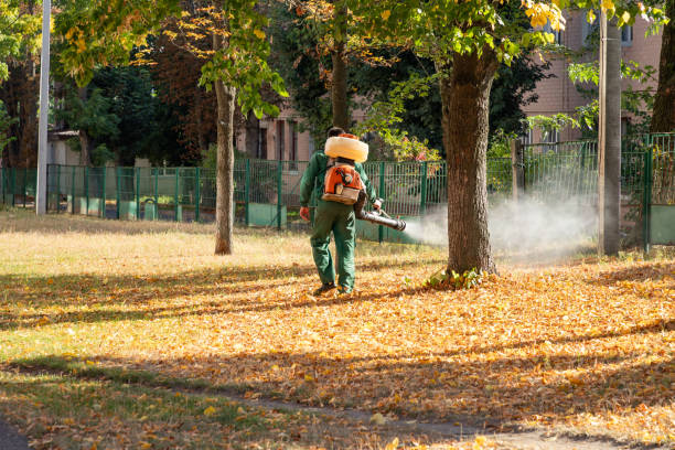 Best Local Pest Control Services  in Uniontown, AL