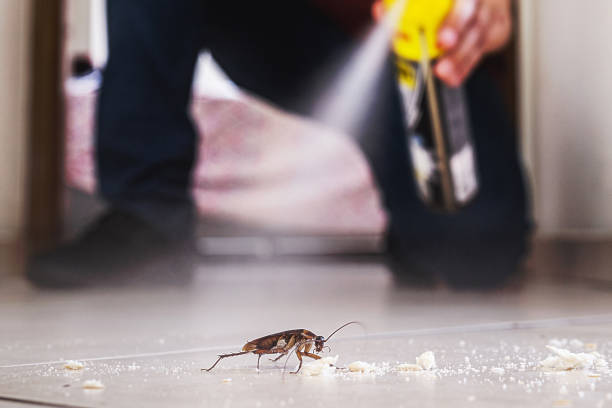 Best Pest Inspection Near Me  in Uniontown, AL