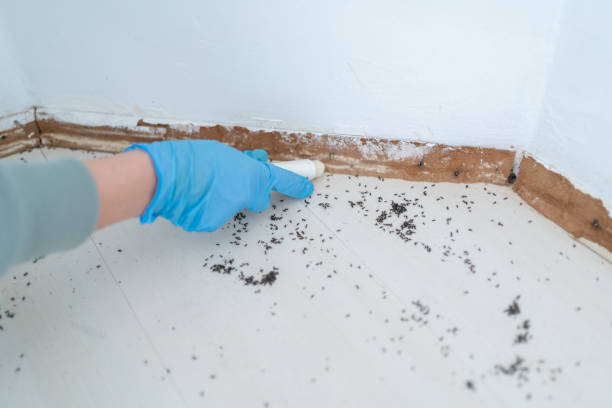 Best Best Pest Control Companies  in Uniontown, AL