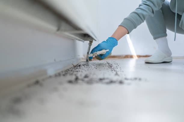 Professional Pest Control in Uniontown, AL